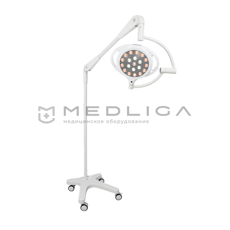 VETLIGA LED M300